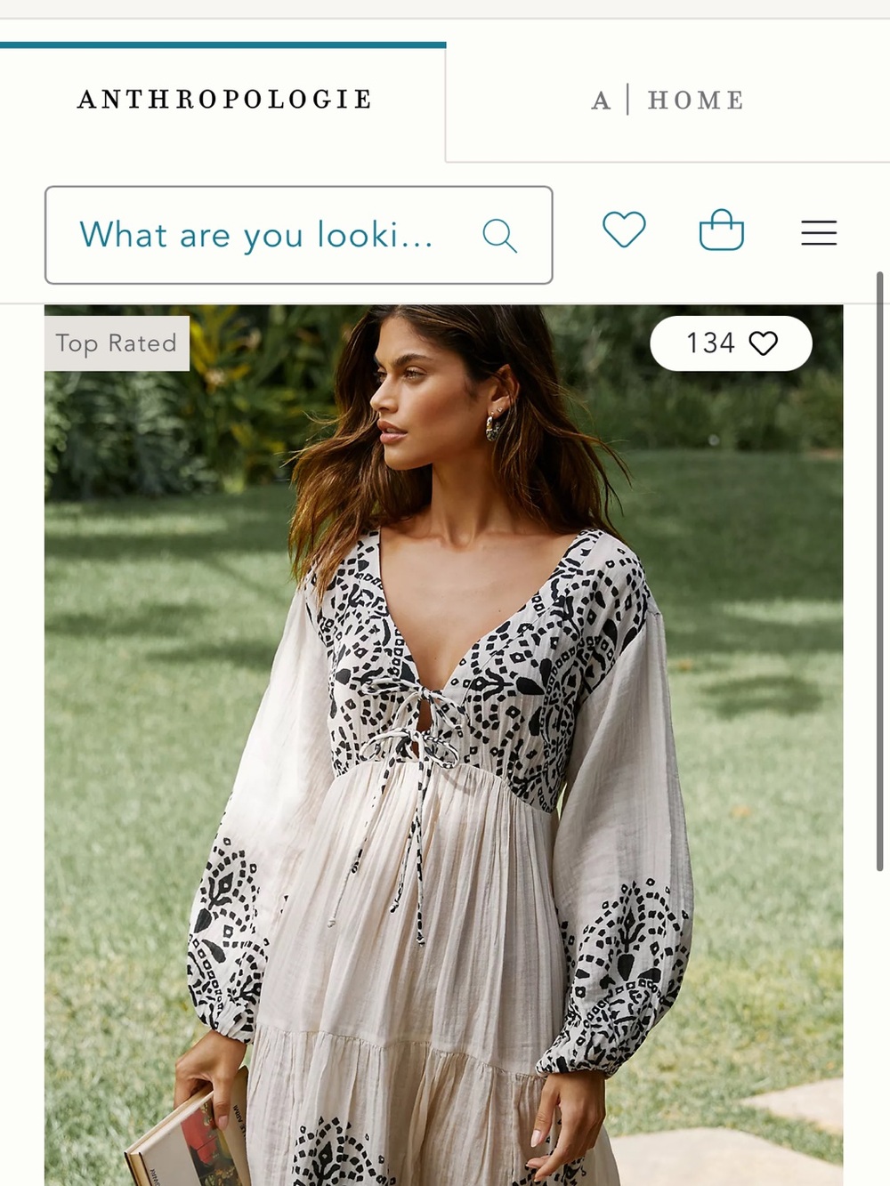 Anthropologie Ivory Maxi Dress with Black Embroidery